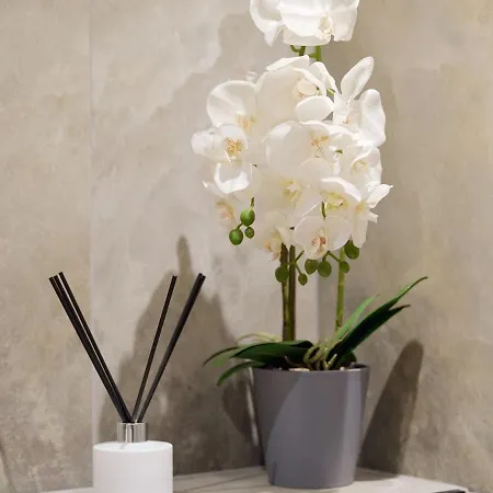 Kotzebue - Family-ready With Separate Sleep Zones